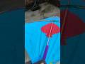 Maine Maine kat ke badle 2 dhap le  liye #kites #shorts #ytshorts #///