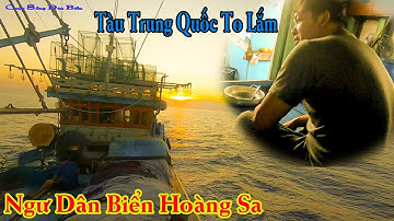CÂU CÁ NGỪ ĐẠI DƯƠNG BIỂN HOÀNG SA 12║Ngư Dân Việt Nam Ở Hoàng Sa Có Cuộc Sống Như Thế Nào.