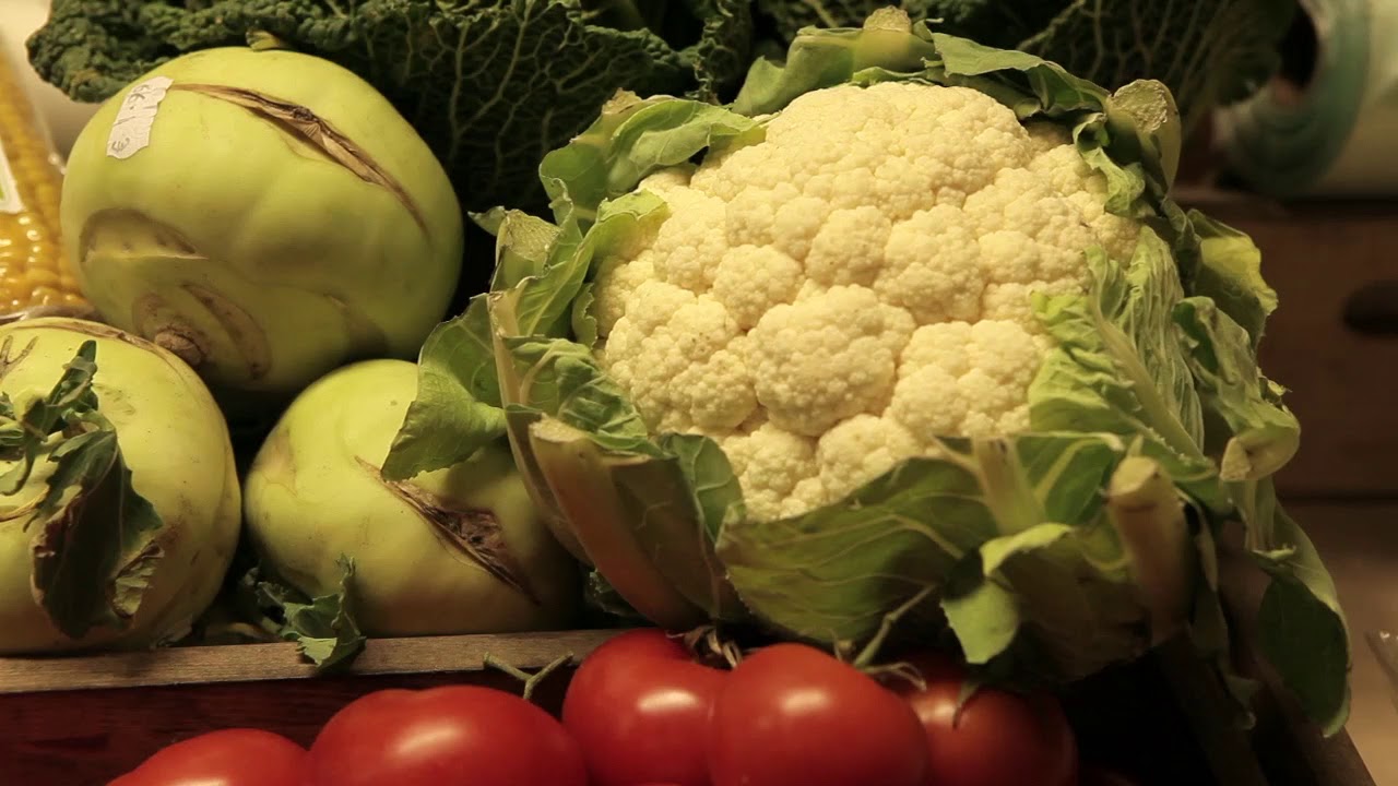 The Psychobiotic Revolution