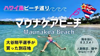 【マウナケアビーチ】大谷翔平選手が行きつけになるであろう超綺麗なビーチがこちら！！　＠マウナケアビーチリゾート　【ハワイ島ビーチ巡り】