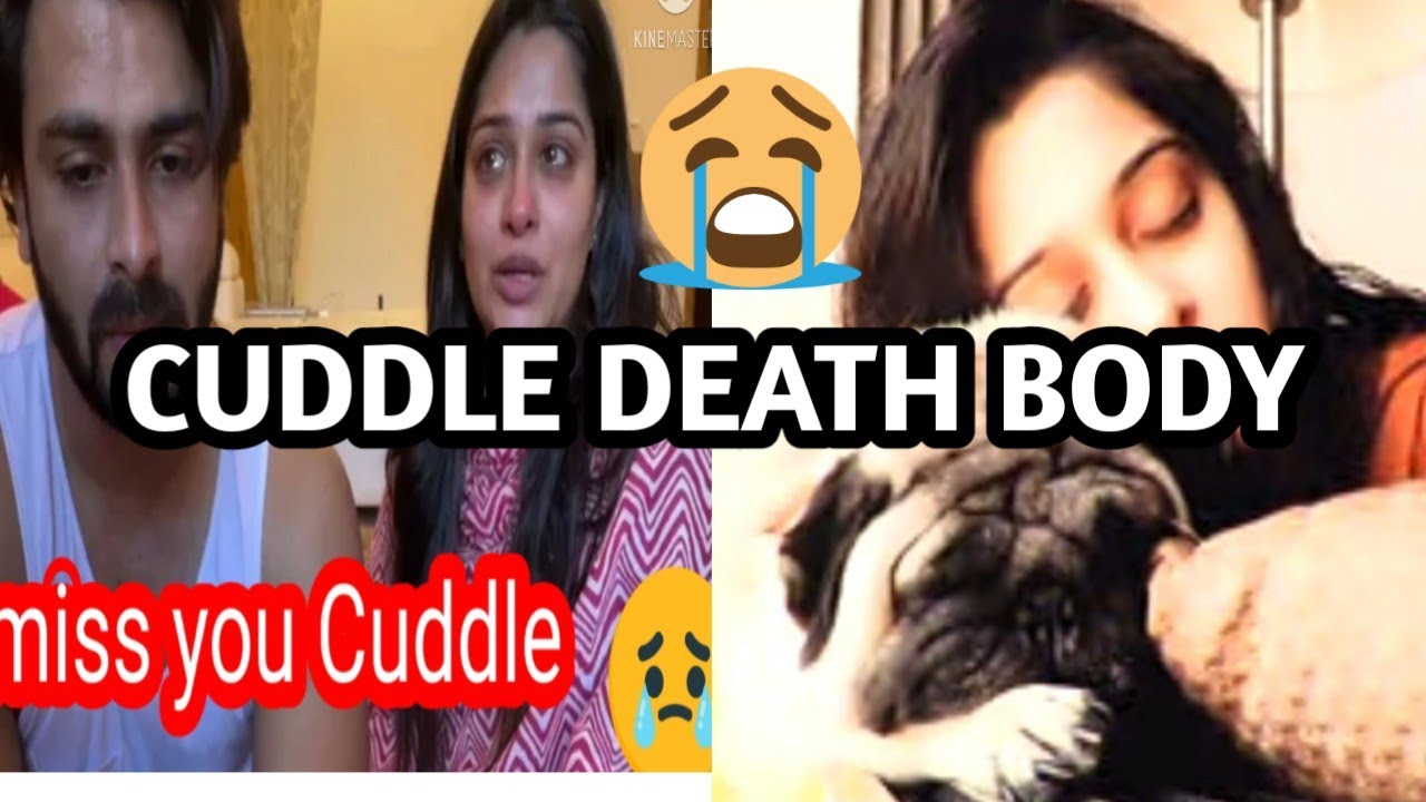 Cuddle Death Body😭😭Rip Cuddle😭😭Cuddle Rip vlog/Shoaib ibrahim/Dipika Ki Duniya