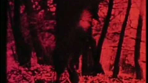 "RUN" FILM BY AVRAHAM EILAT , 1971