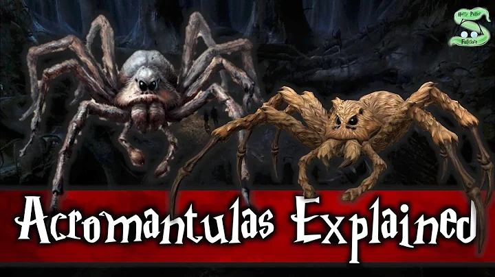 Acromantulas Explained: The Story Of Aragog