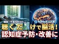 【脳活🧠癒し音楽】 認知症の予防と改善｜40Hzガンマ波🎧挿入｜休憩・睡眠・作業用BGM