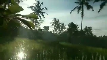 Lembur Kuring Darso