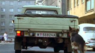 Kommissar Rex S02E02...