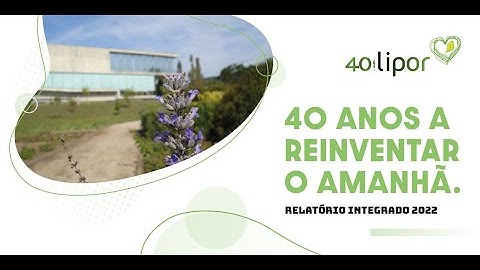 Relatório Integrado 2022