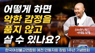 원망이나 악한 감정을 품지 않고 살아가려면? | 우리는 상대를 온전히 알 수 있을까요 | 남 탓하지 않는 어른이 되자 | 안동초청법회