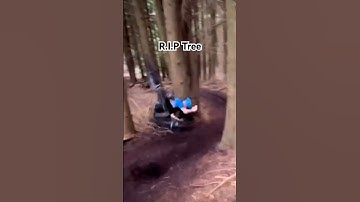 Rip tree #bike #mtbbike #mountainbike #mtb #outdoors #crash #mtbfail #tree #fail #rip #video #shorts
