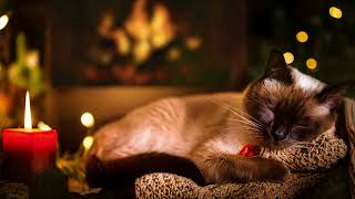 Crackling Fireplace with Cat Purring Sounds🔥 Cat Sleep Video 4K. Sleeping Cat by Fireplace Noises 4k