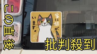 車に貼られた「家に猫がいます」ステッカーは、「どうでもいい情報」ではありません！その真意に驚きの声「他人事じゃない」