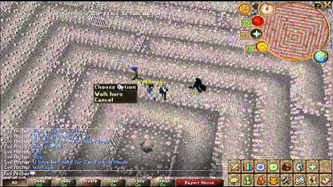 RuneScape: Best Anti Bot Random Evar!!