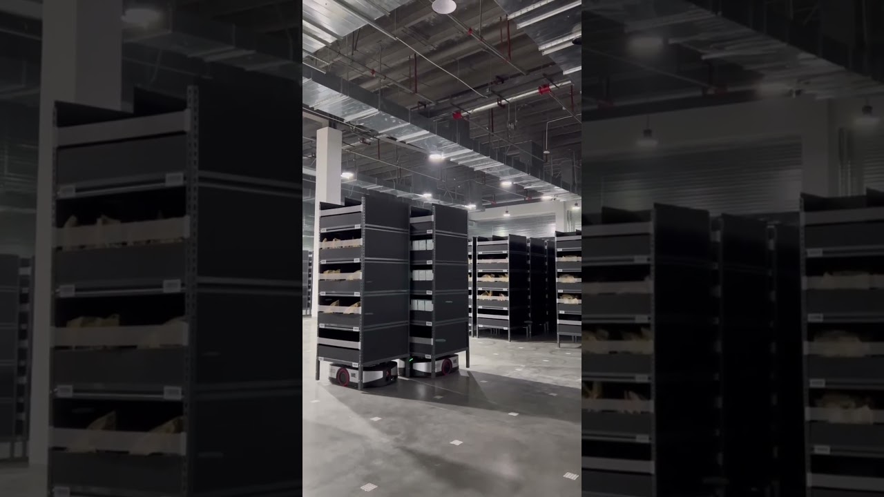 JD Warehouse in China 