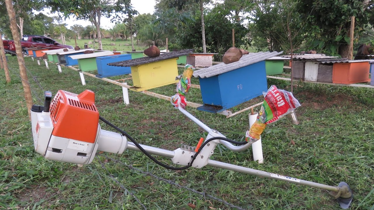 Não Faça Limpeza No Seu Apiário Com Roçadeira Antes De Ver Este Vídeo 👀