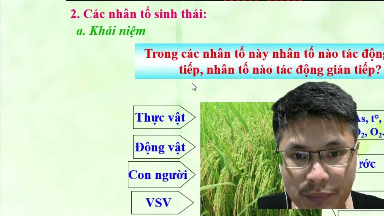 B i 5 moi truong song va cac nhan to sinh thai youtube