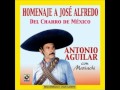 Antonio Aguilar, El Jinete.wmv