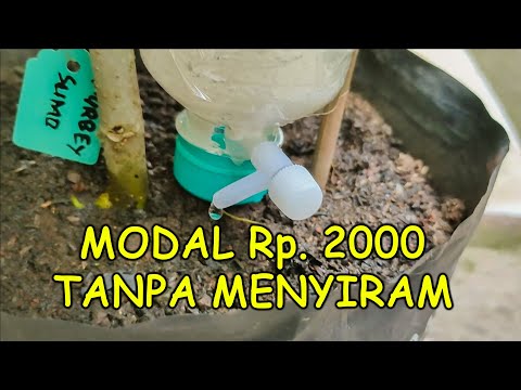 CARA MEMBUAT IRIGASI TETES TANPA LISTRIK TERMURAH DAN MUDAH | How to Make Drip Irrigation