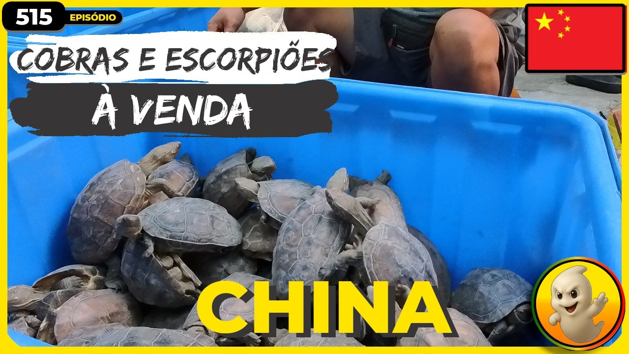 🐕 Cães e Gatos: Não É Para Comer! | Nanning, China 🇨🇳 | EP 515