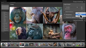 Mastering Lightroom Classic CC - 32: Web Module