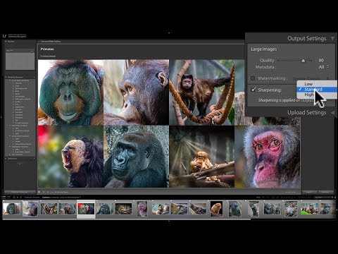 Mastering Lightroom Classic CC - 32: Web Module