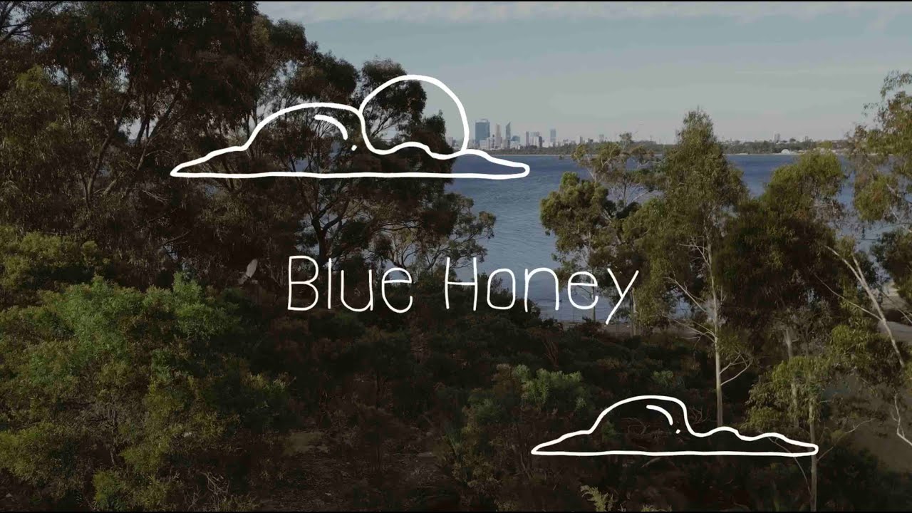 The View From Here #40: Blue Honey