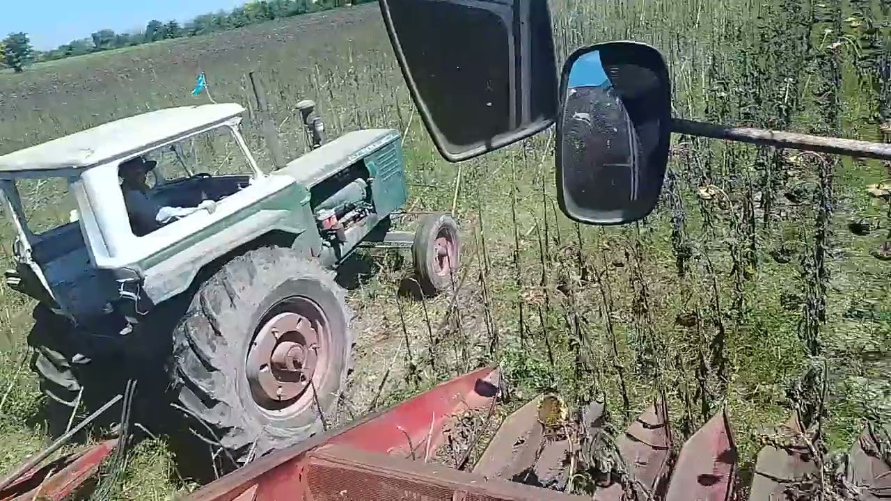 Arrancó la cosecha de girasol🌻 2026 |Día 1