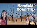ナミビアの魅力を一挙公開!8日間のキャンプ旅Vol1
