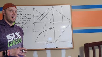 RBC Model shock examples