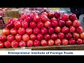 How to Start Export Import Business निर्यात-आयात व्यवसाय कसा सुरू करावा ! New Business idea