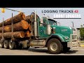 TRI-DRIVE &amp; TANDEM DRIVE LOGGING TuCKS HAULING SHORT WOOD / LOGGING TRUCKS #43