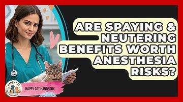 Are Spaying & Neutering Benefits Worth Anesthesia Risks? - Happy Cat Handbook