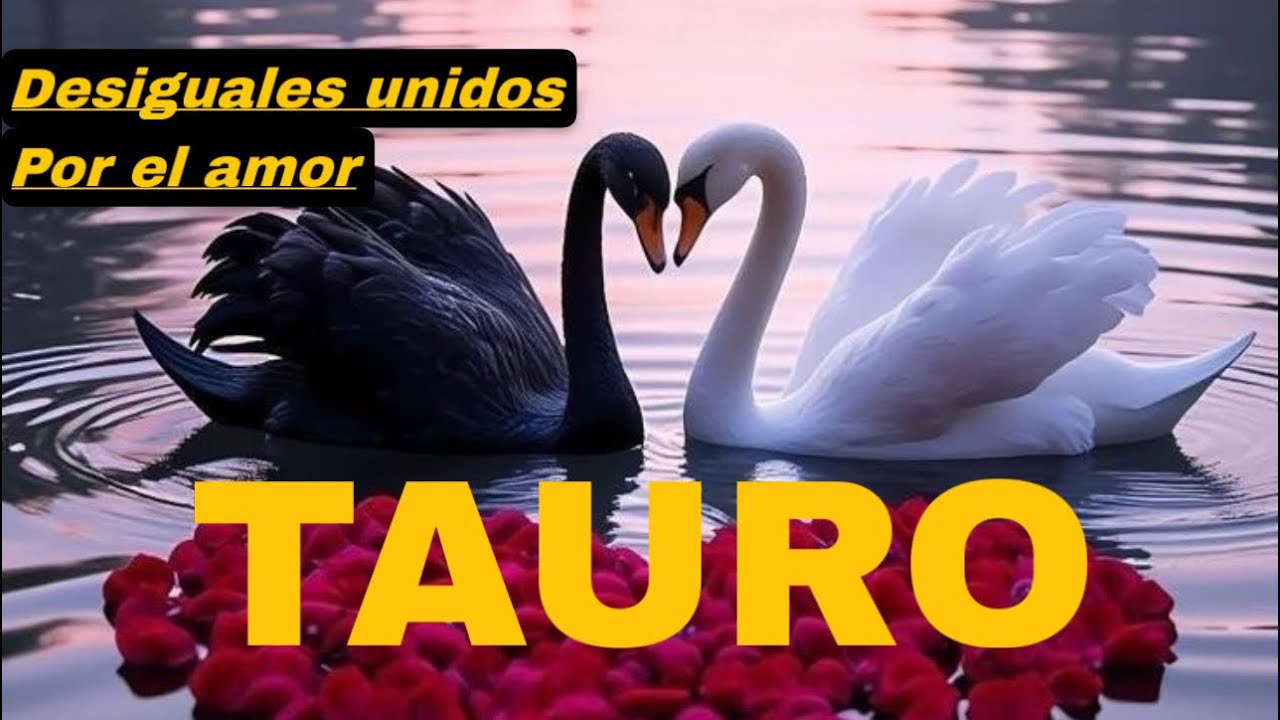 TAURO ️ GRAN SORPRESA EN EL AMOR 😱😍 - YouTube