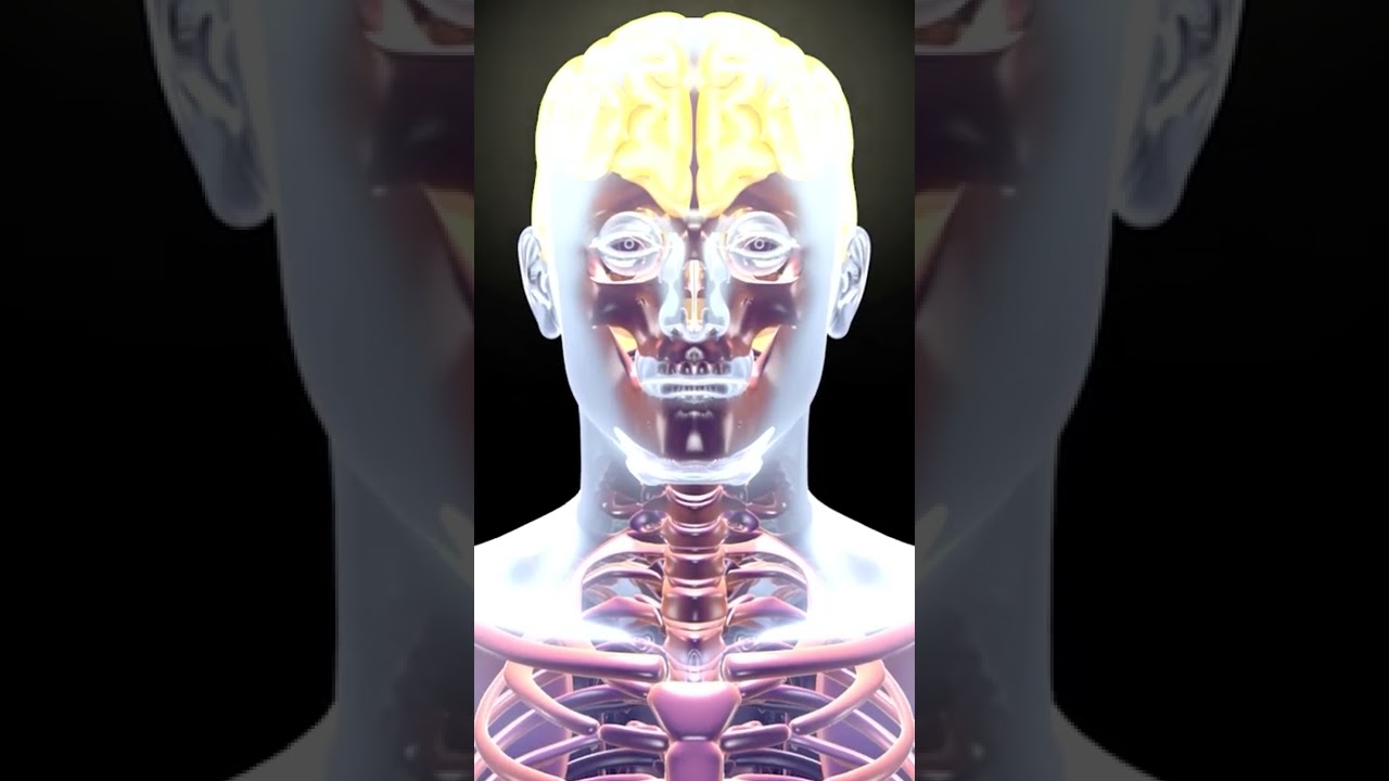 ¡ESTOS SON los INHIBIDORES de la RECAPTURA de SEROTONINA! 🤓