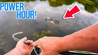 Canal pike fishing POWER HOUR! Late Spring Lure Fishing