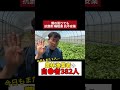 欝 不眠 自● 追い詰められる農家の現実