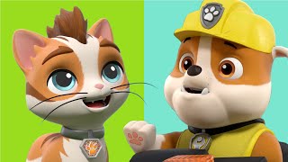 The Cat Pack Stop a Giant Ball of Yarn 🧶 + More Cartoons for Kids | PAW Patrol Episode screenshot 3