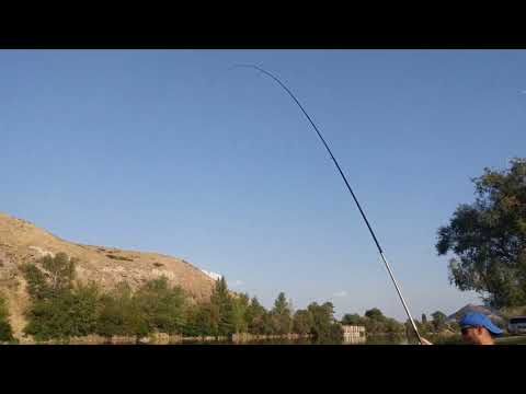 Moss fishing on the river 'mtkvari' in Georgia ხავსით თევზაობა მტკვარზე