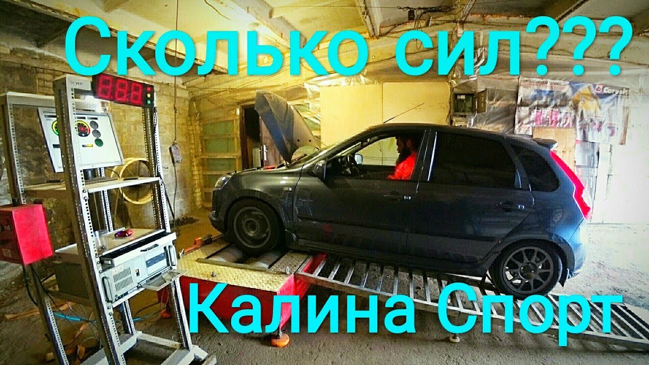 Сколько сил в калине