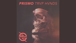 Trvp Hvnds - Prismo