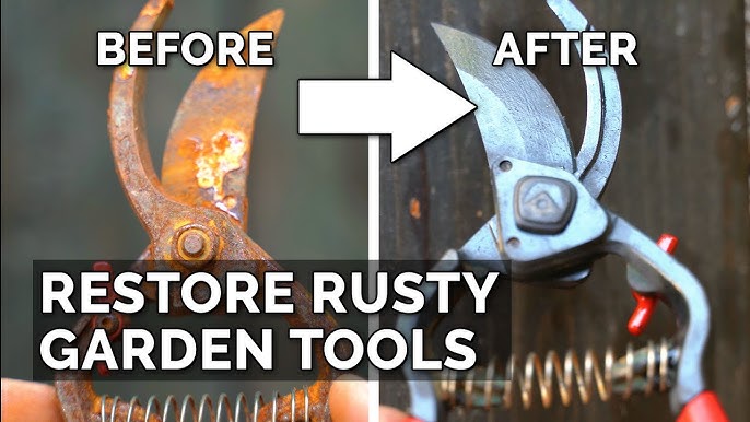 How to Clean & Sharpen Your Pruners! ✂️🧼🌿// Garden Answer