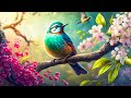 Chirping melody 10  birdsong with ethereal piano music