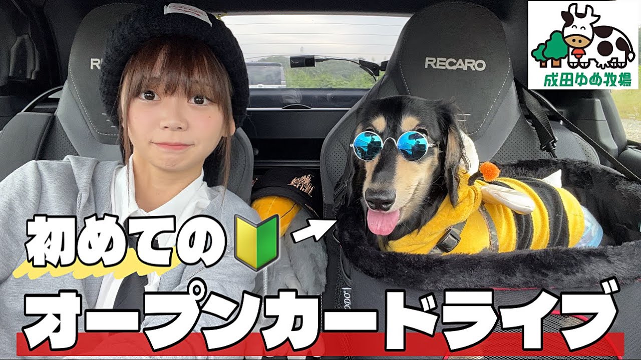 犬と入れるテーマパーク『成田ゆめ牧場』のアイスが美味しすぎる...