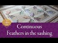 Learn how to continuously quilt feathers in the sashing of the Sawtooth Cat quilt