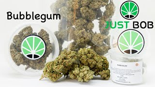 Bubblegum CBD - cannabis CBD - JustBob [Deutsch]