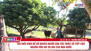 Tạo điều kiện để hộ nghèo người dân tộc thiểu số tiếp cận nguồn vốn vay ưu đãi của Nhà nước