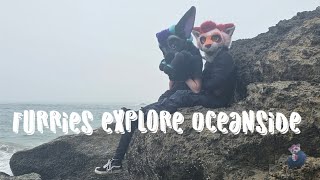 Furries explore oceanside Oregon