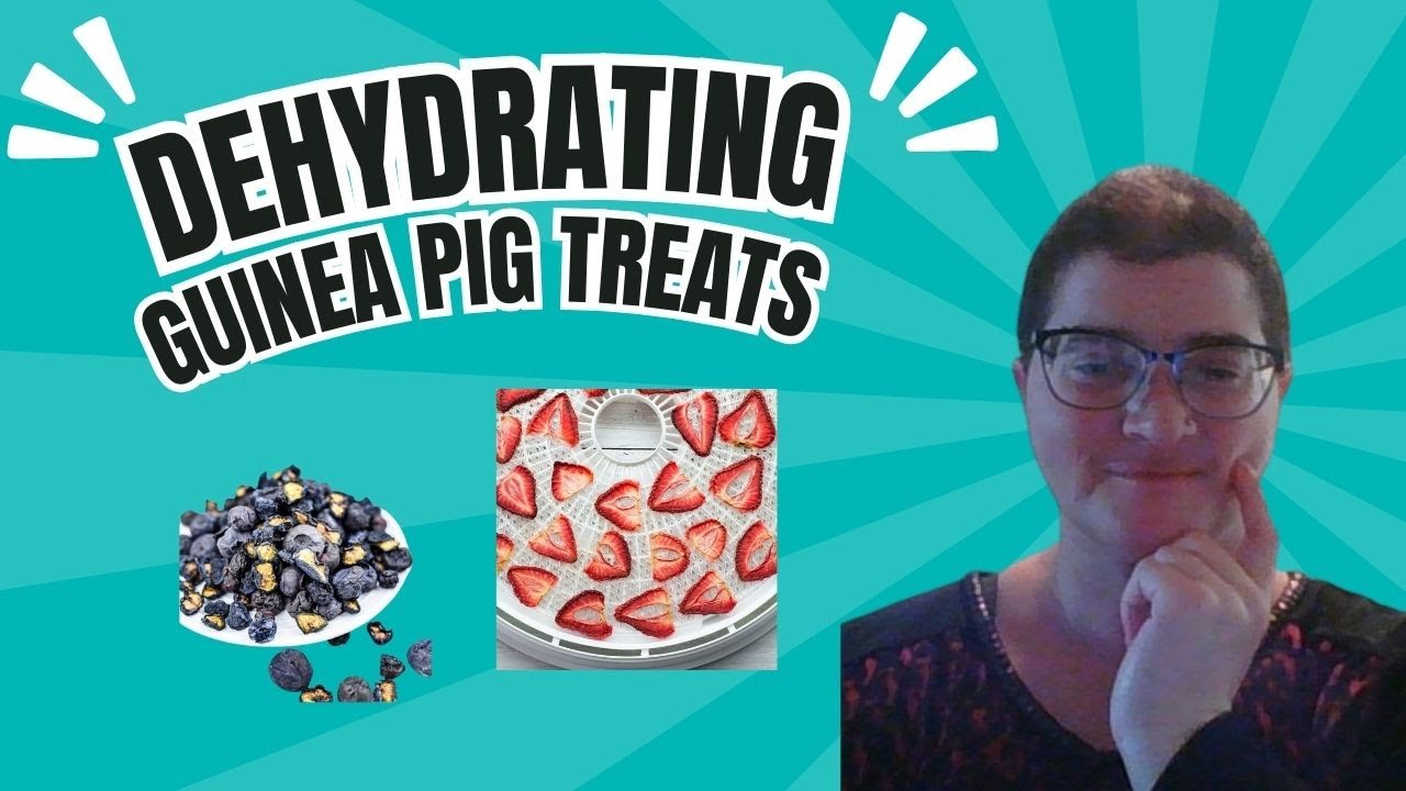 Visual Reference: Elevate Your Guinea Pigs Diet With Delicious And Preservative Free