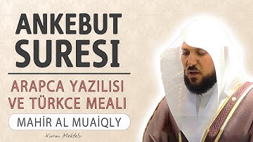 Ankebut suresi anlamı dinle Mahir al Muaiqly (Ankebut suresi arapça yazılışı okunuşu ve meali)
