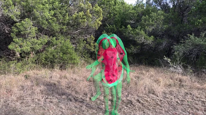 Jerry David DeCicca /// WATERMELON (official video)