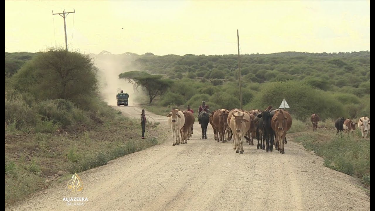 أعرب الرعاة الكينيون عن قلقهم إزاء المشاريع المعلنة